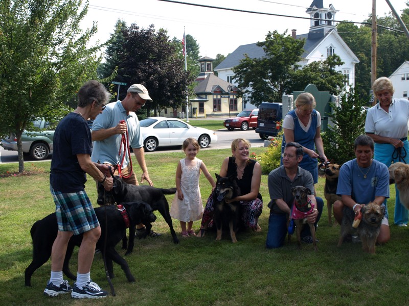 Group 1 Dogs